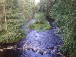 Kuvia Hämeen järviylängöltä